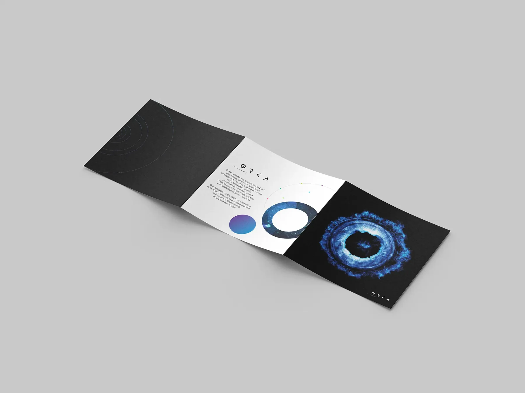 Orka — project visual 5